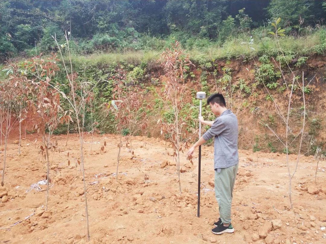 土地妄想部项目纪实丨尊龙体育人，，，，，助力荒地变桑田！