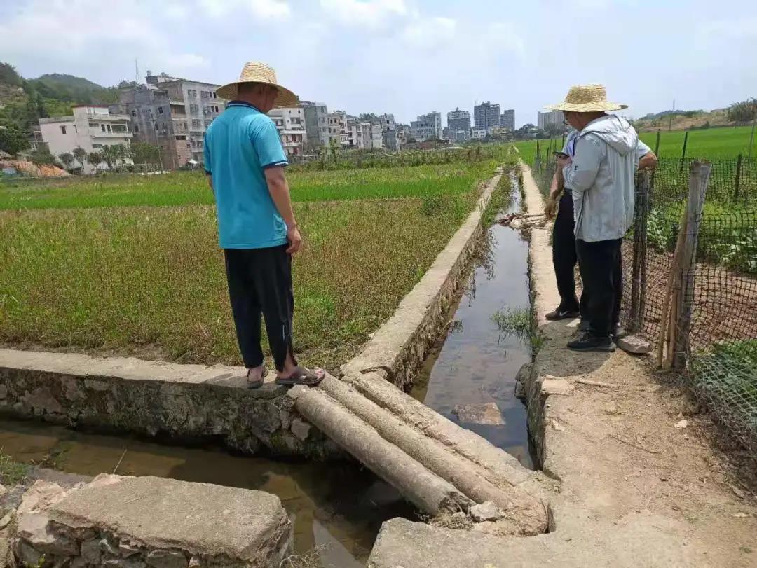 五华高标项目纪实丨助力高标准农田建设 为墟落振兴蓄势赋能