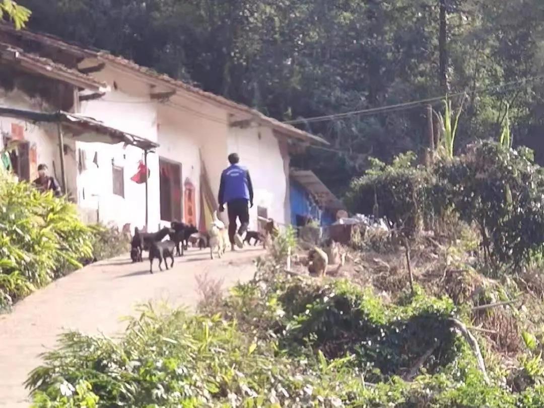 阳春房地一体项目纪实丨无悔青春多砥砺，，，，，最是奋斗感人心