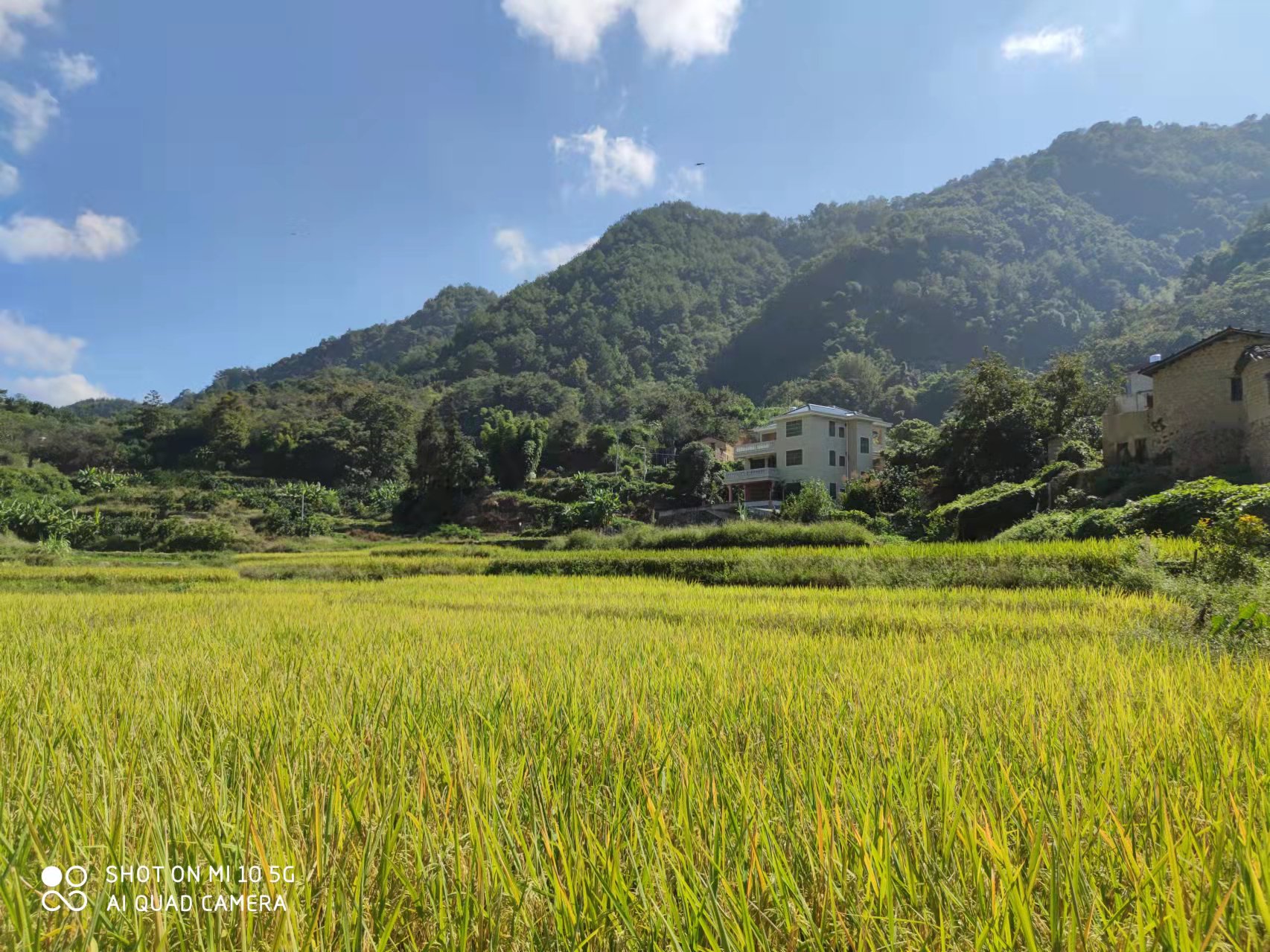 恢复（增补）耕地项目怎么干？？尊龙体育有话说