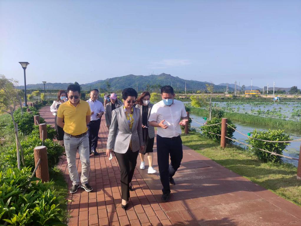 省生态修复协会轮值会长单位尊龙体育集团带队赴汕尾全域土地整治军民融合试点项目调研