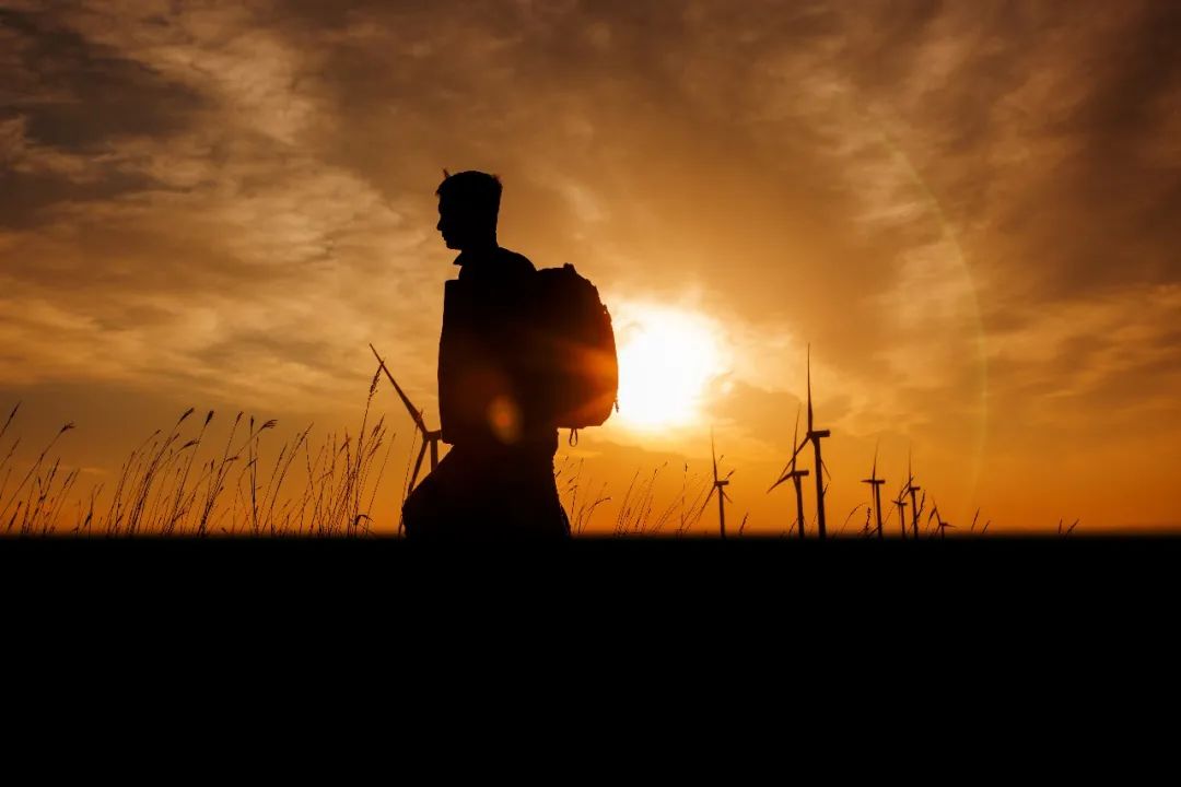 尊龙体育12周年征文丨一等奖《此心安处是吾乡》