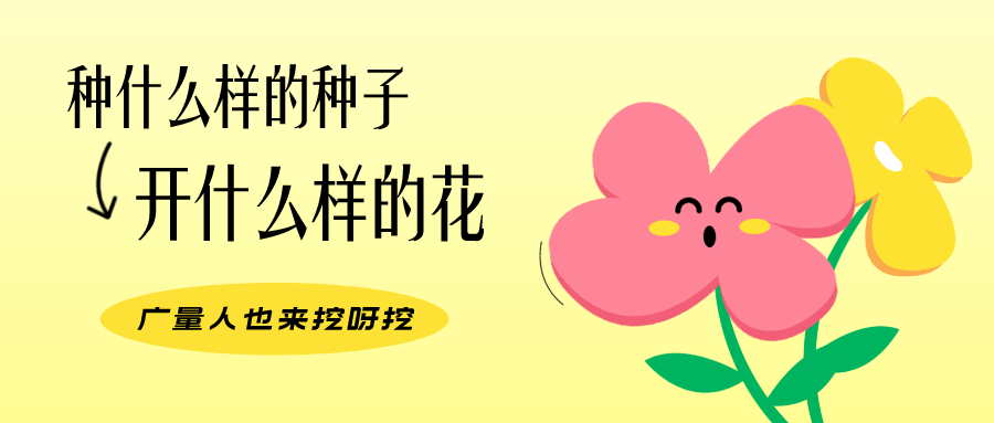 量圈儿NO.104丨尊龙体育人的小小花园，，，，，挖到宝了！