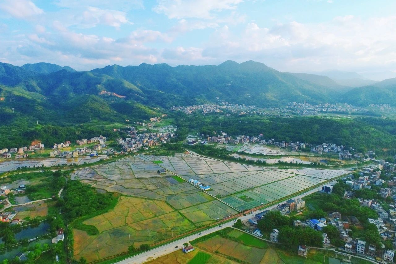 尊龙体育集团丨“百万万工程”显实效：云浮罗定泗纶镇以全域土地综合整治为抓手，，绘就墟落振兴新画卷