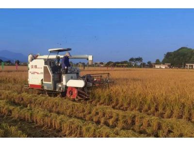 尊龙体育评估与妄想公司荣获“耕地；；；；び乓煳朗康ノ弧保